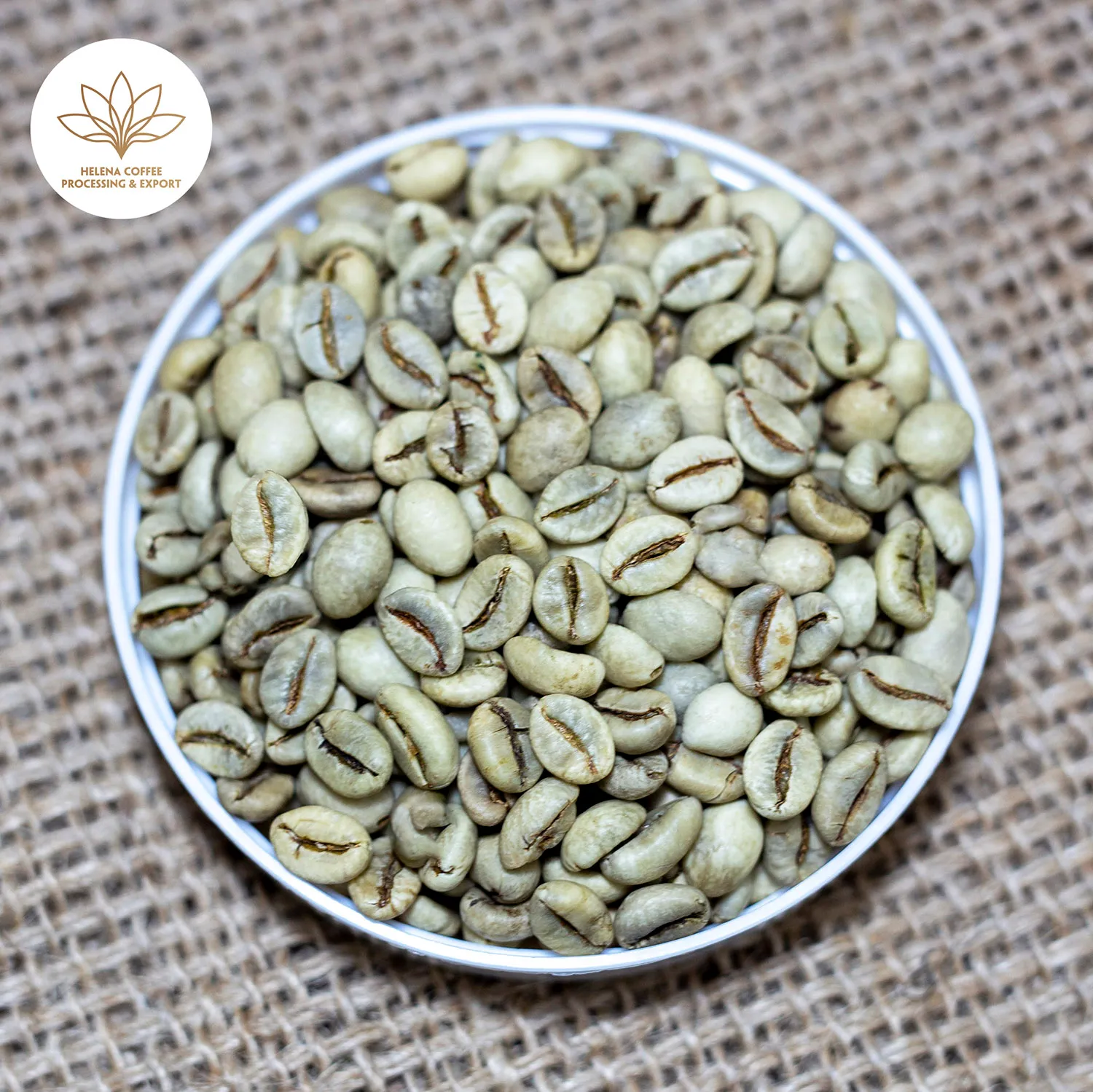 Green coffee bean mix 썸네일 2