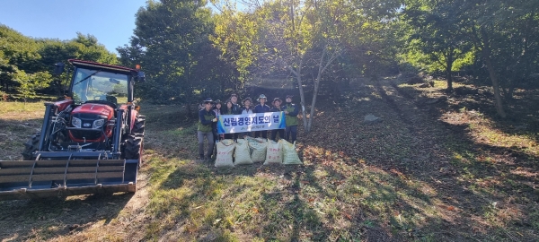 강화약쑥마늘환120g 썸네일 2