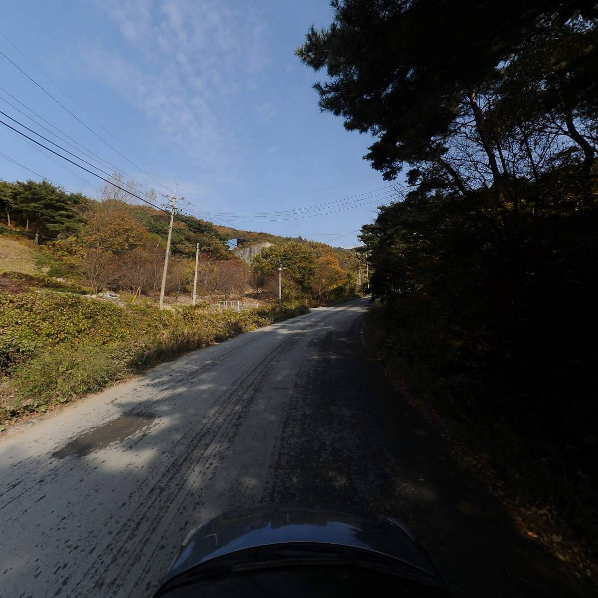 해미올리브재래김 썸네일 3