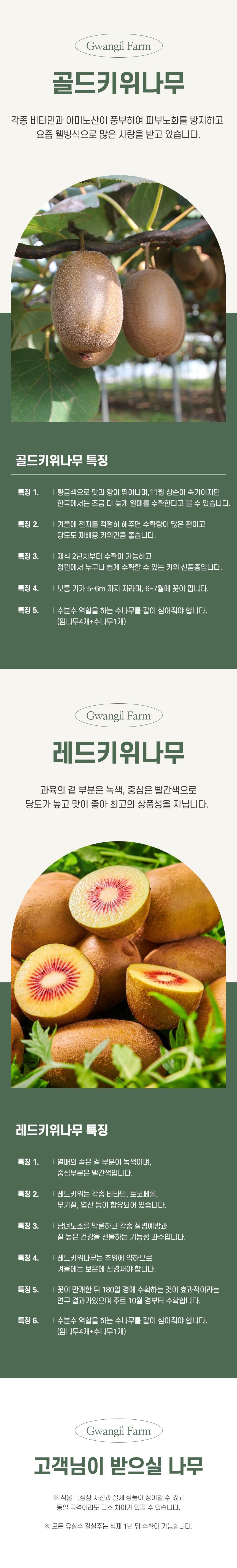 키위 굵은소금 썸네일 2