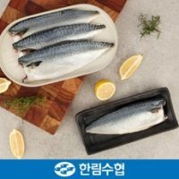 성산포수협 고등어살 3KG 썸네일 3