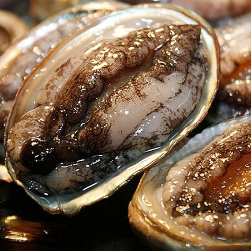 경해식품미더덕영어조합법인 경海네홍합자숙 1kg 1000G 썸네일 3