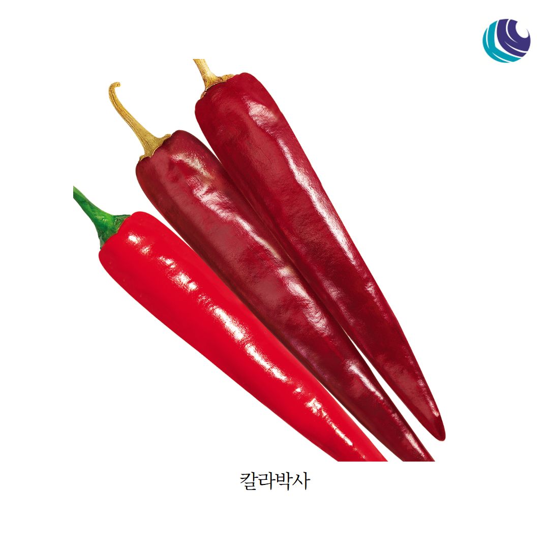 파프리카스틱 240g/PK 썸네일 3