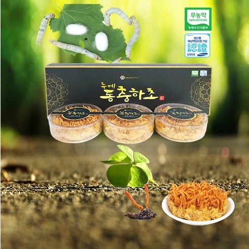 천하일품 동충하초 100ML 썸네일 3