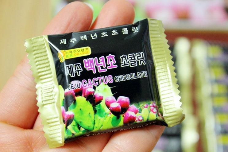 제주백년초초콜릿(40개입) 썸네일 3