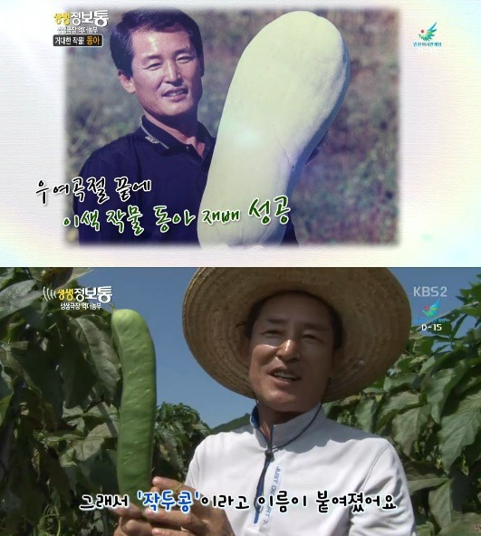 작두콩도라지청 셋트 썸네일 3