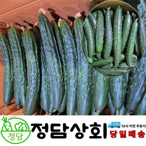㈜한스비앤에프 아삭이고추 2kg 썸네일 3