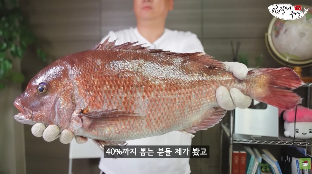 제주일품수산 황돔 2kg 썸네일 3
