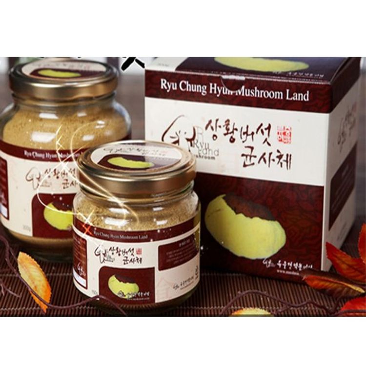 (주)엔자임바이오-식물의향기산사/상황버섯균사체-Box210g 썸네일 2