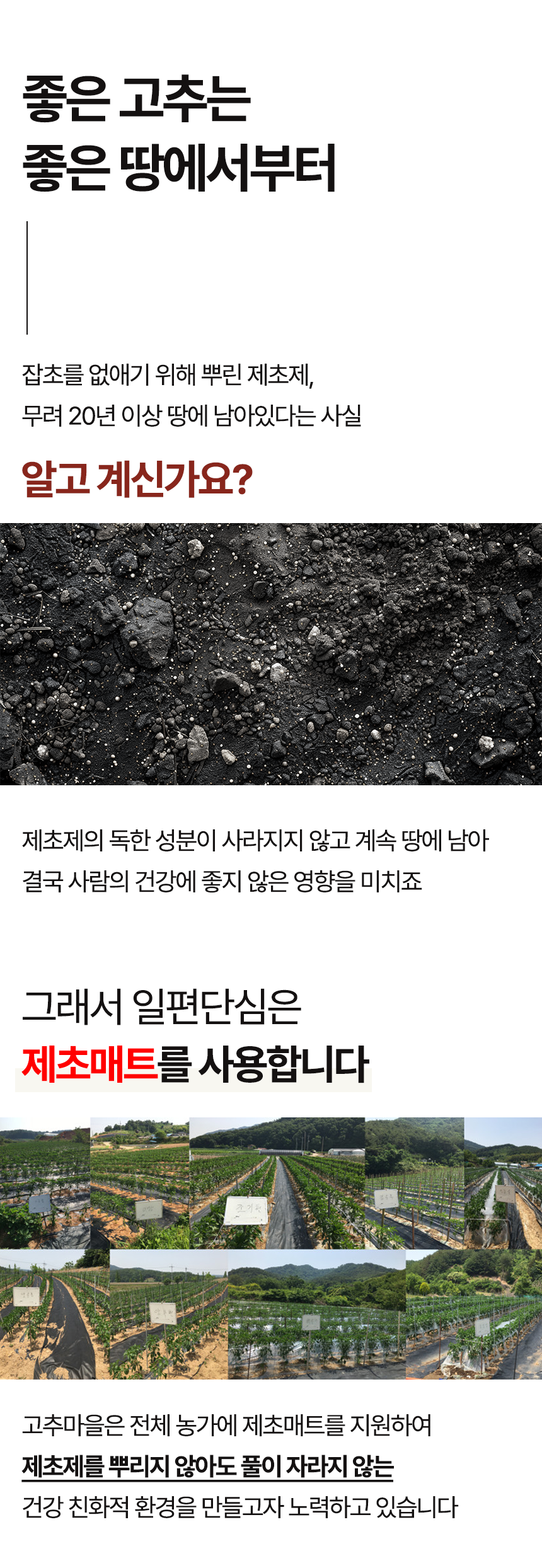 햇고을고춧가루 고추장용 3Kg 썸네일 3