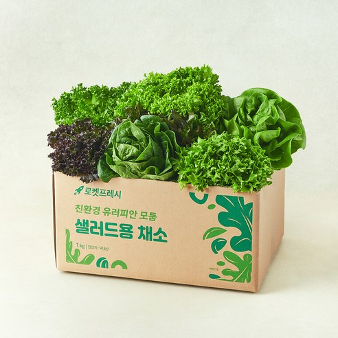 바비조아 친환경 뽕잎미 1kg*1개 썸네일 2