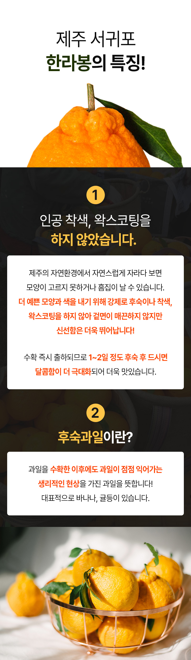 제주하르방한라봉초콜릿 105 썸네일 3