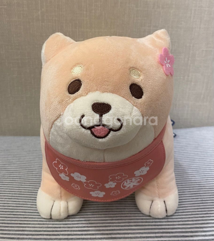 인형키링가방고리/사쿠라/모찌시바스탠딩 썸네일 2
