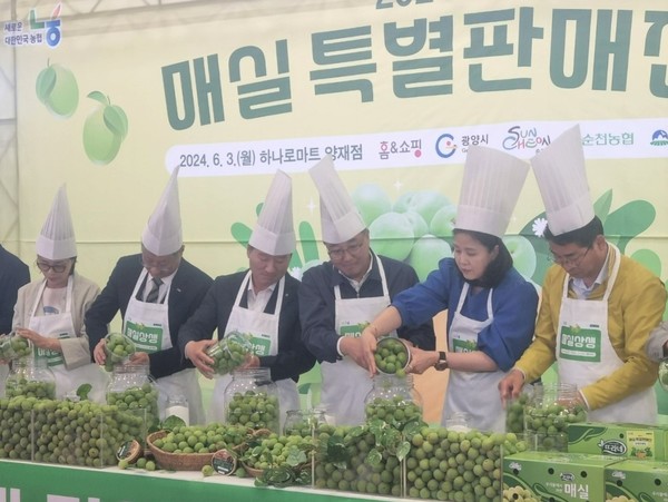 꿈엔들 매실 2L 썸네일 3