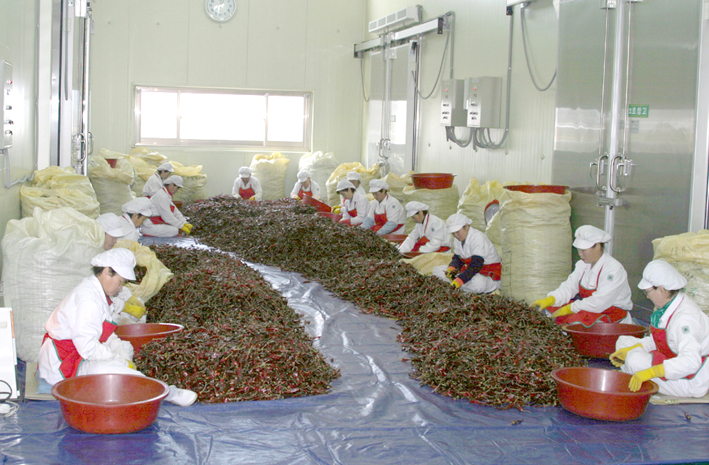 청송농협 청결고추가루(500g) 썸네일 2