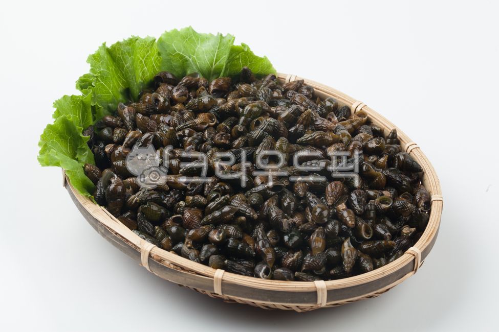 진성푸드 다슬기알(북한) 1kg 썸네일 3