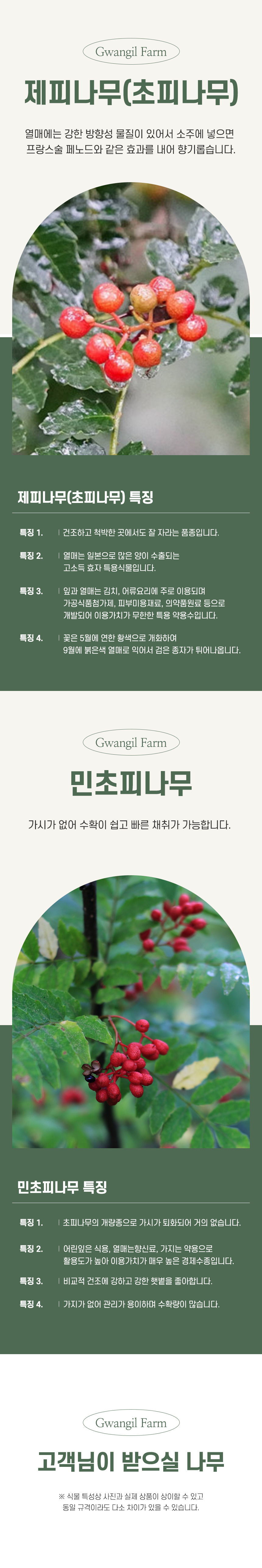 홍화원(주)농업회사법인 지리산산수유환 500G 썸네일 2
