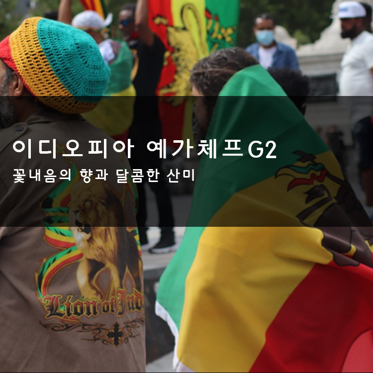 (주)핸디엄 이디오피아 예가체프 원두 200g 그라운드빈 썸네일 2