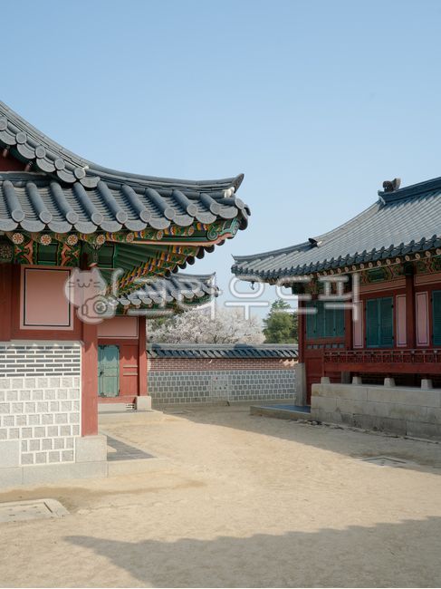 (신)고궁 애플맛캔디 40 g 썸네일 3