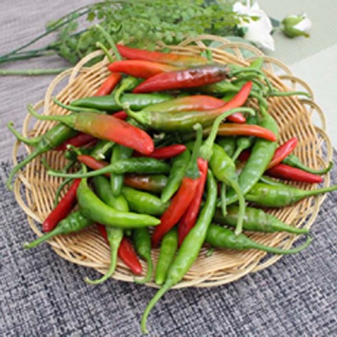 산천고추 5kg 썸네일 3