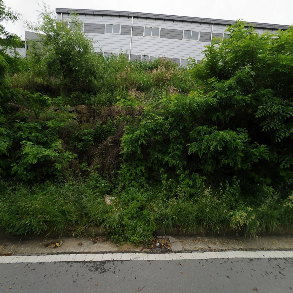 (주)제이제이푸드 우리밀프리미엄더츄로 썸네일 3