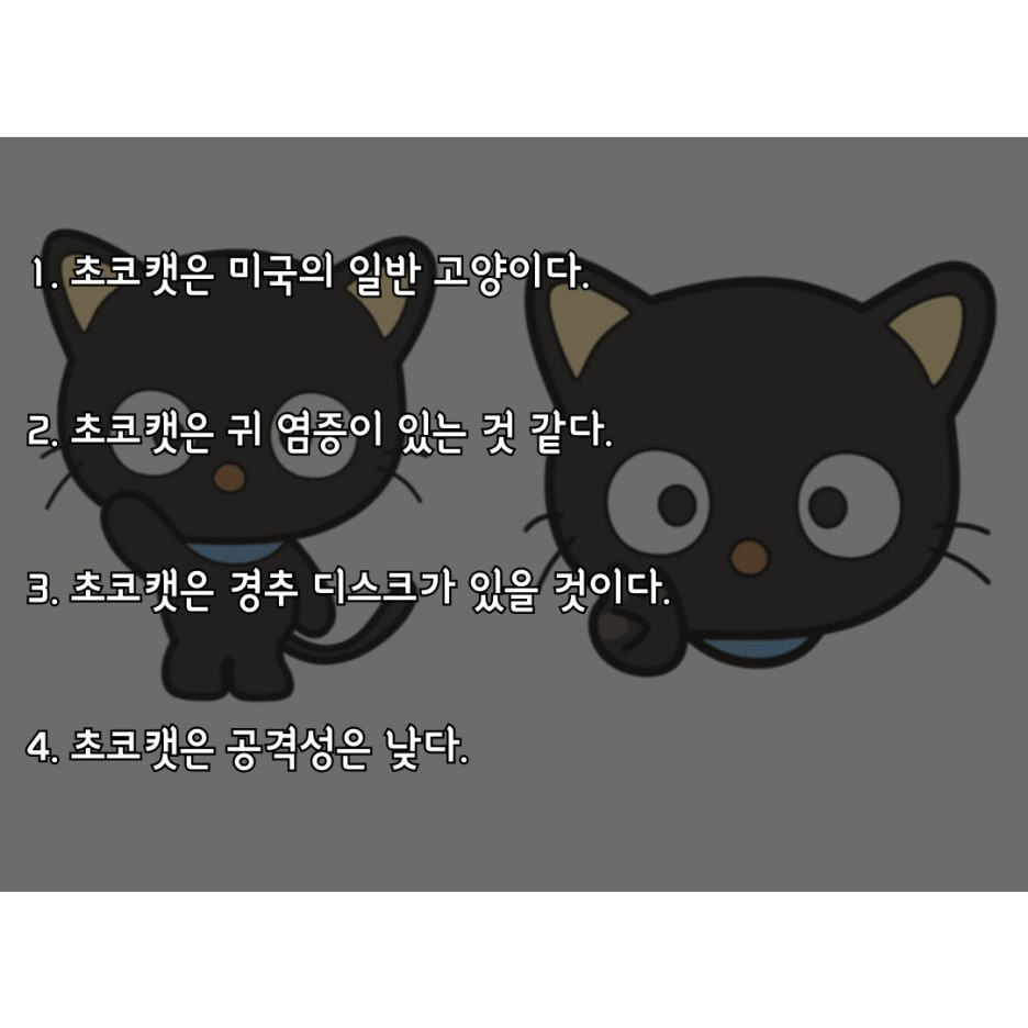 초코퐁듀머쉬멜로우/산리오 썸네일 2