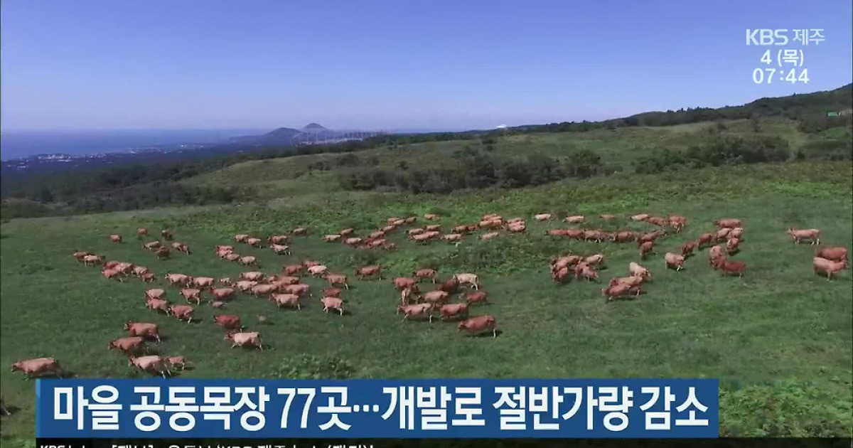 목장마을 BS 썸네일 2