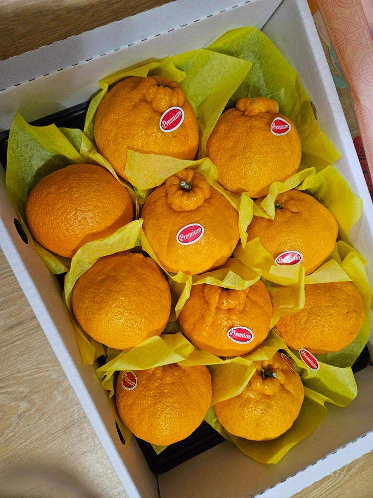 한라봉 말랑이 썸네일 3