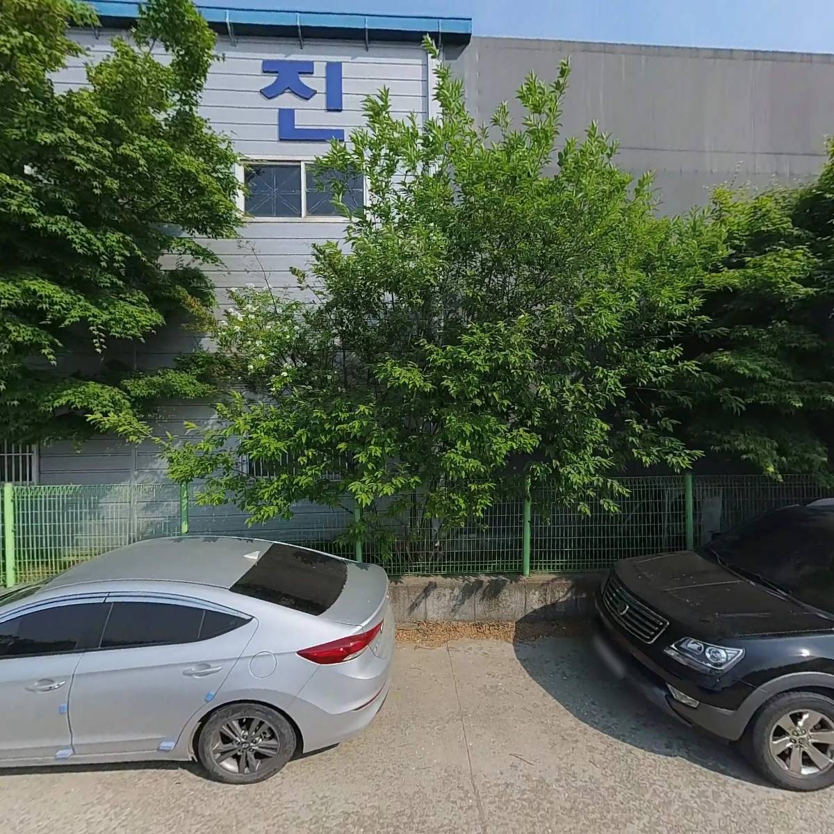 블루베리900g 썸네일 2
