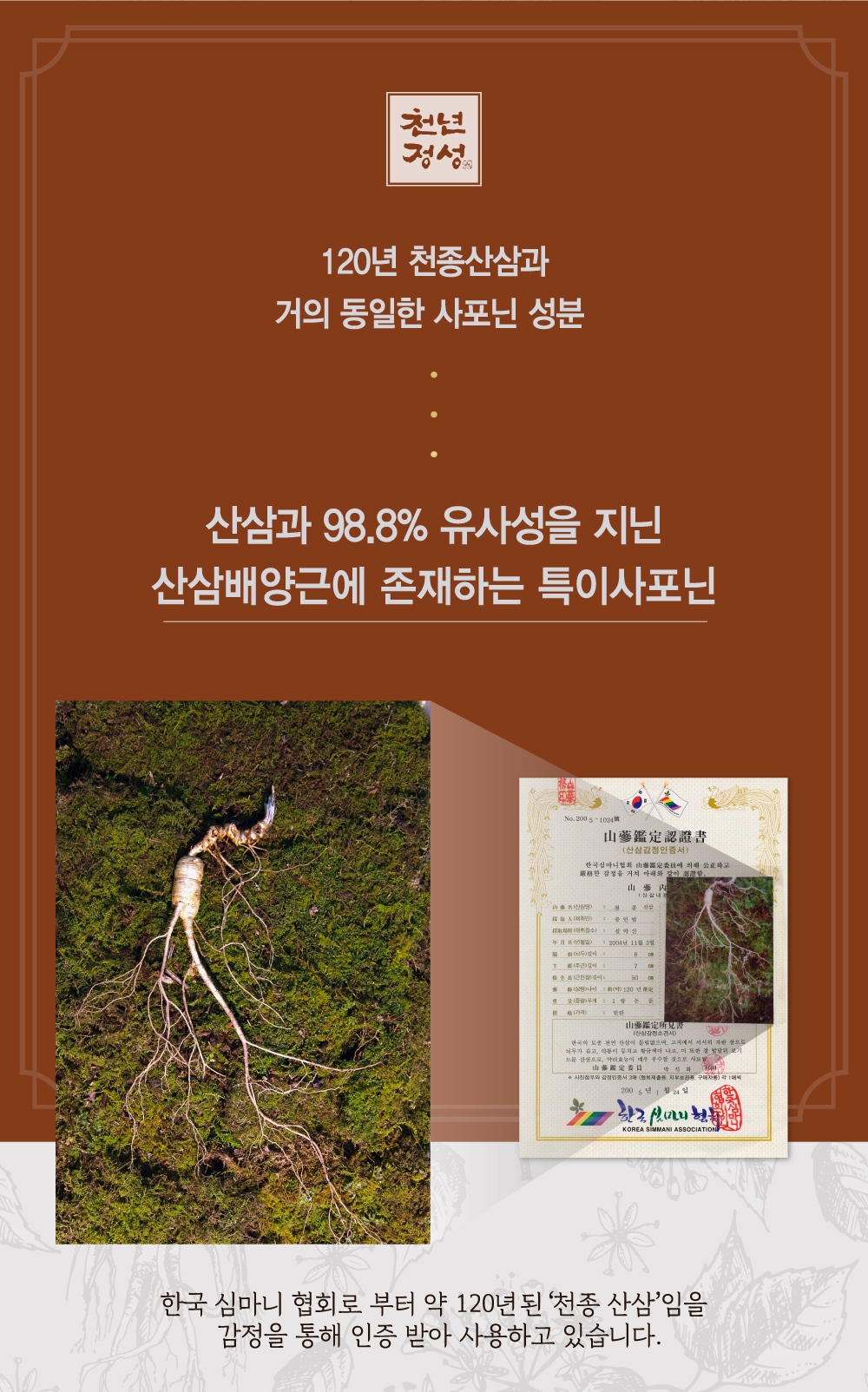 (주)비트로시스 천년정성 산삼배양근 그대로 30병 썸네일 3