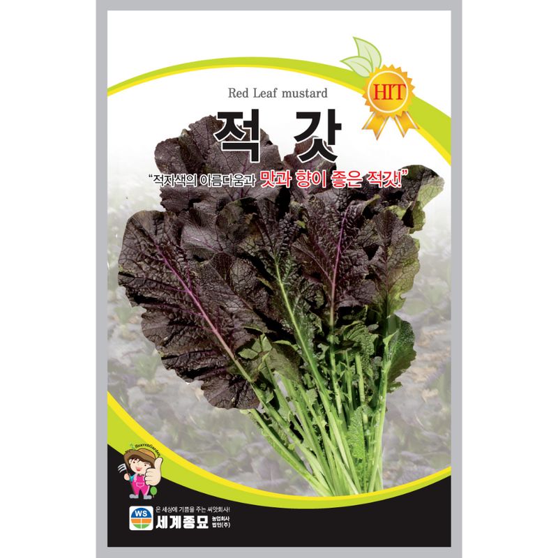 (주) 서안 홈플러스 좋은상품 쫄깃당면 500G 썸네일 3
