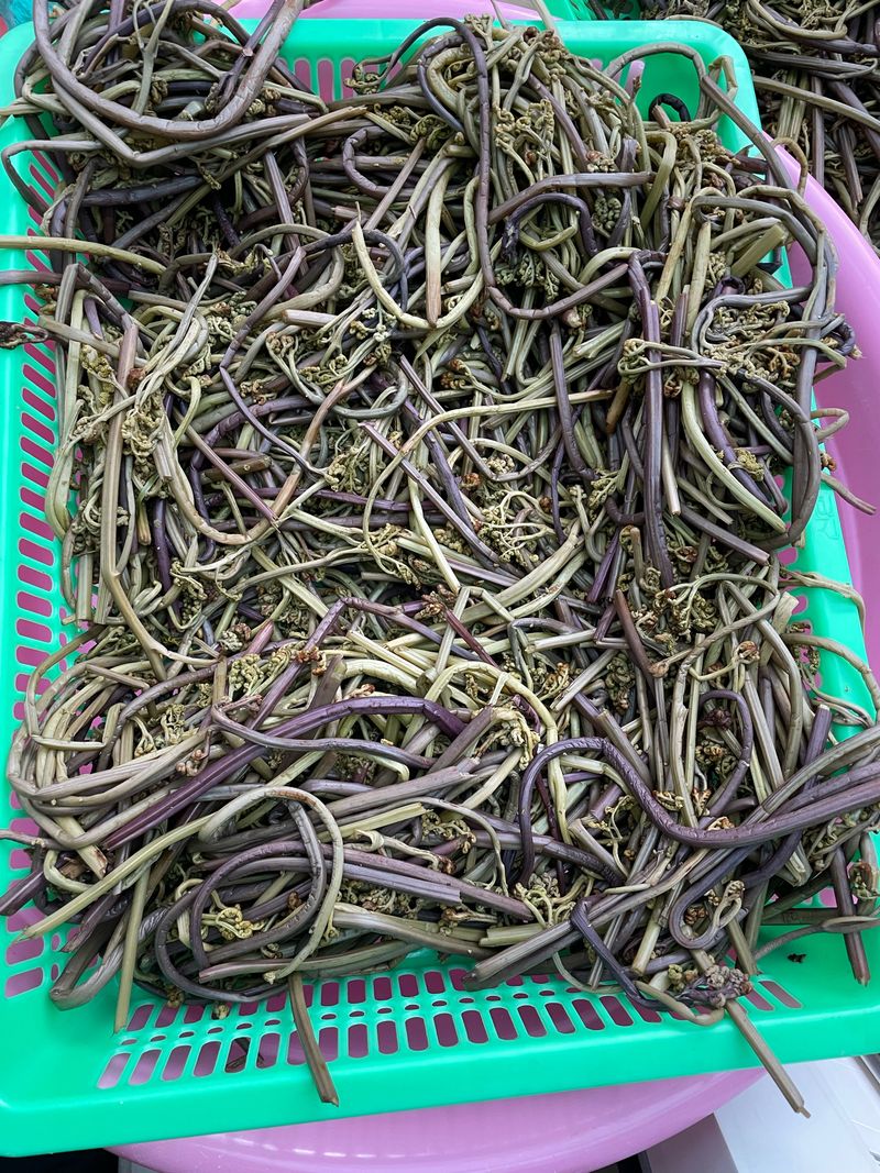 제주블루베리차 600g(원1종) 썸네일 3