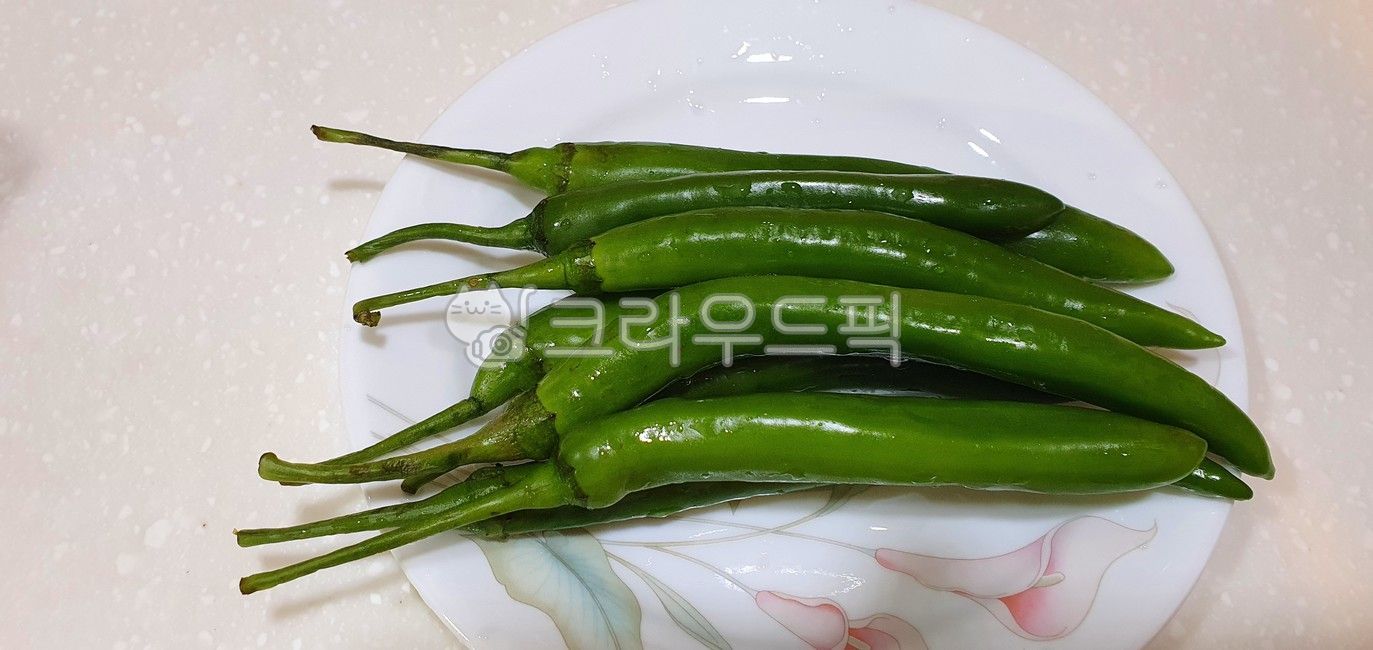 킹치즈 초록 썸네일 3