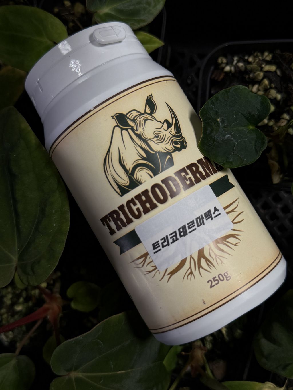 트리코 말랑꿀딸기 35G/2EA 썸네일 3