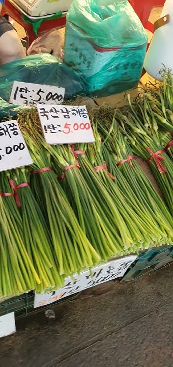 더알찬 마늘쫑이 2KG 썸네일 3