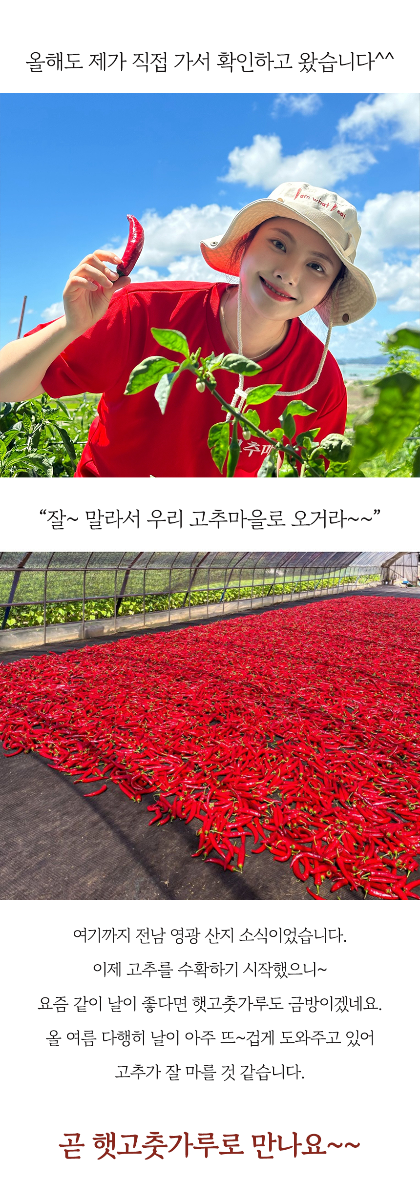 햇고을고춧가루 3Kg 썸네일 2