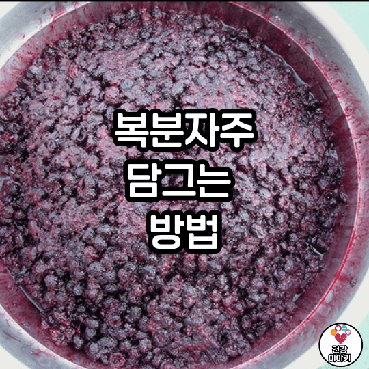 복분자 썸네일 2