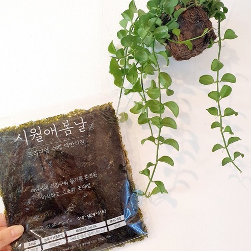 (주)해우촌 맥반석 수제김(캔) 40G x 1EA 썸네일 3