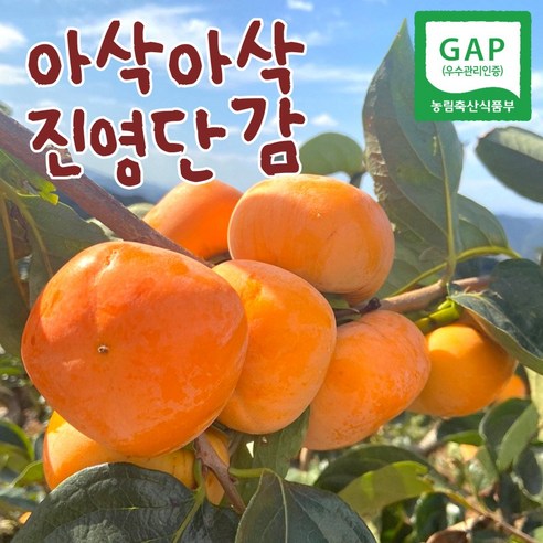 진영 잡채말이 1KG 썸네일 2