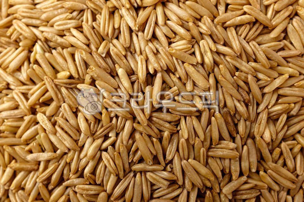 (주)한솔식품 한솔 통곡물 선식 30G x 15EA 썸네일 2