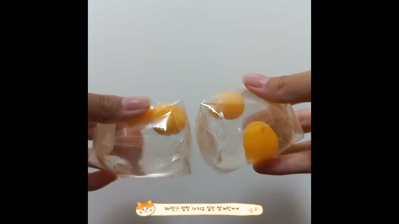 A)쌍계란말랑이 썸네일 2