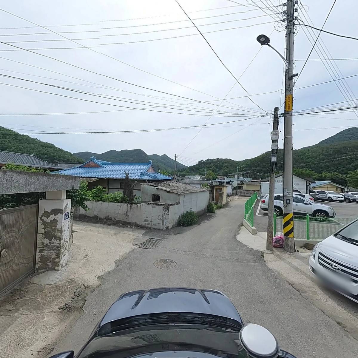 청송하늘아래 국화차 썸네일 3