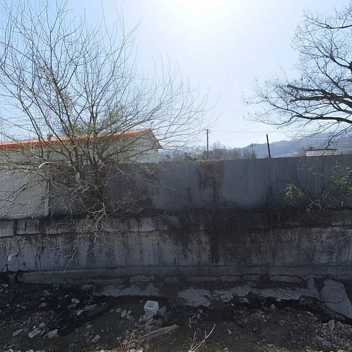 줄약과 310G 썸네일 2