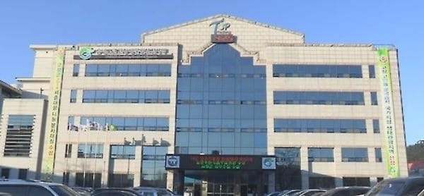 신데렐라 썸네일 2