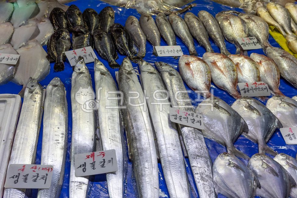 논산바다 병어 썸네일 2