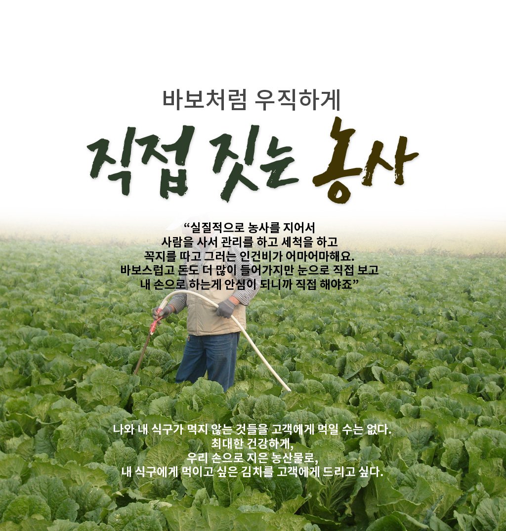 주식회사다솔면참가락생메밀면1KG 썸네일 2