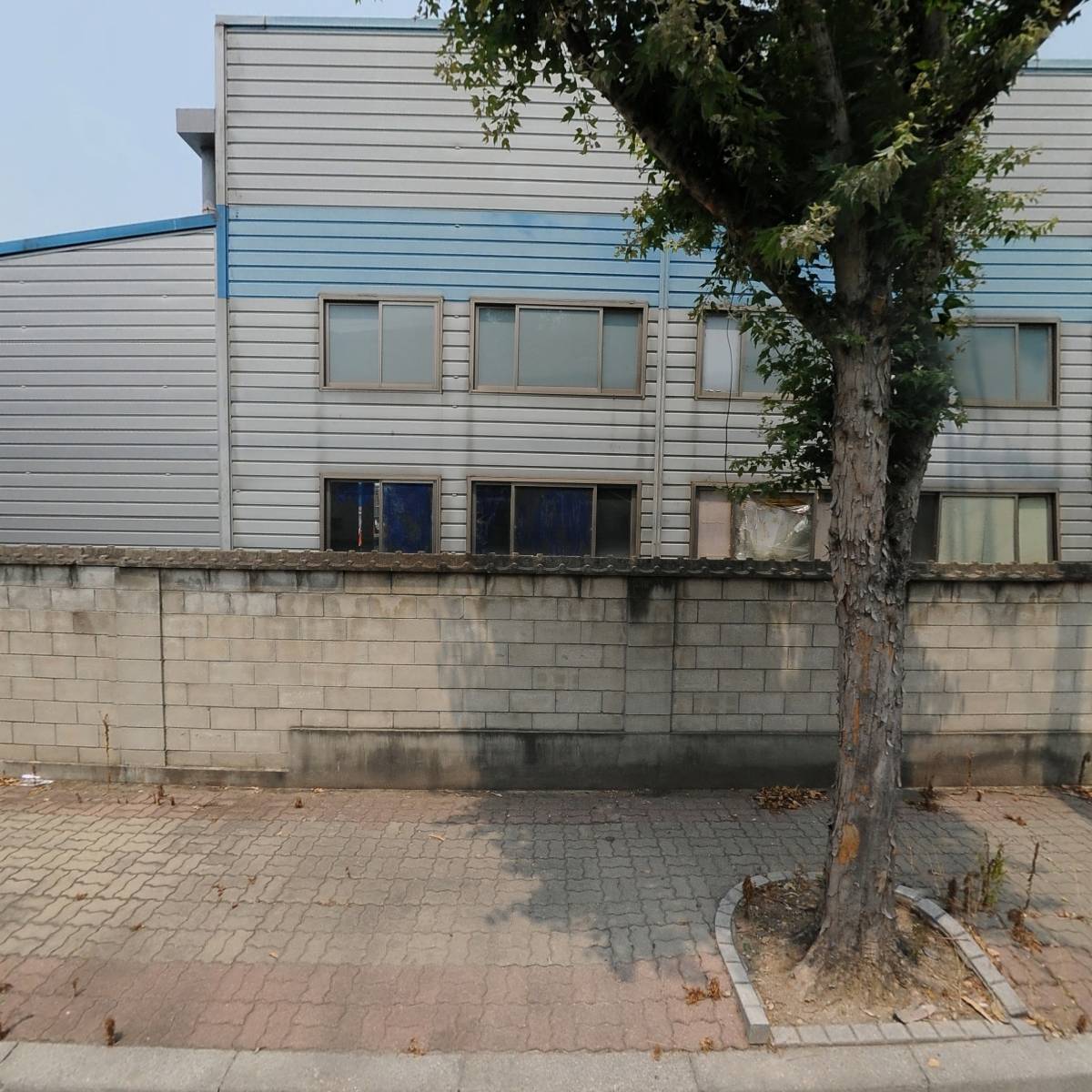 (주)디핀다트코리아 팝앤샷 블루버블 썸네일 3