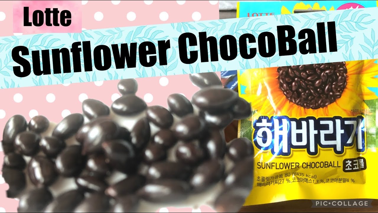 해바라기씨초코볼 500G x 1EA 썸네일 3