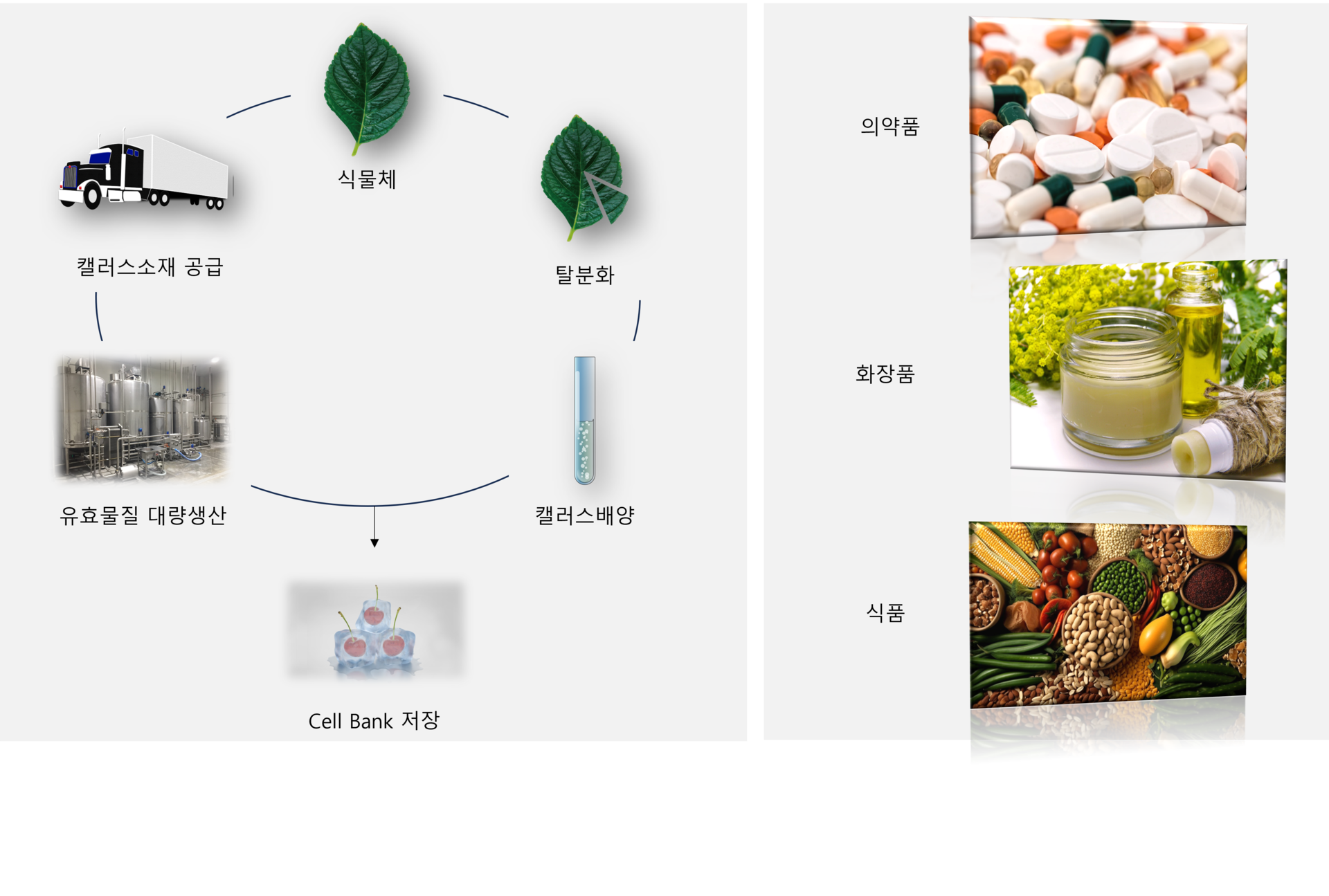 청국장 썸네일 2