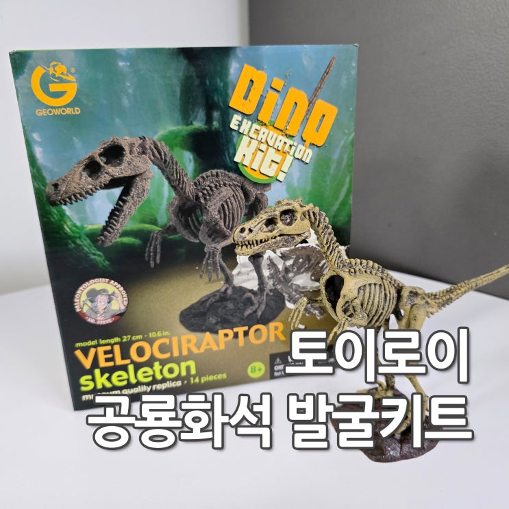 공룡화석발굴키트 썸네일 2
